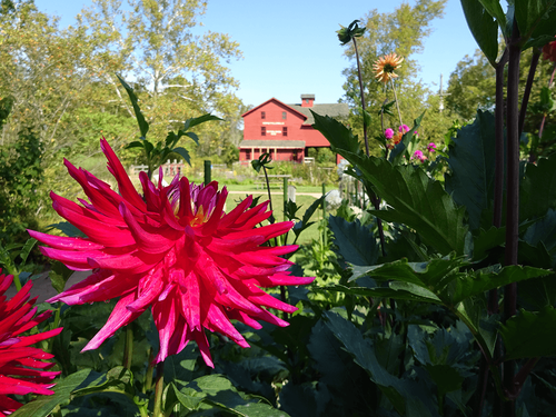 7 Things to Know Before Moving to Elkhart, IN post