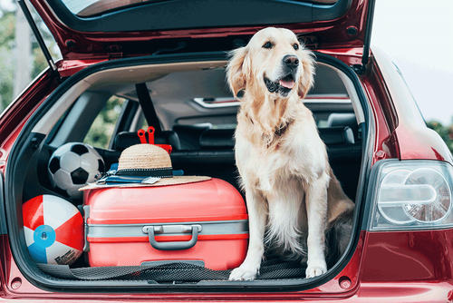How Waterbury Residents Store Their Cars, Boats, and RVs Year-Round post