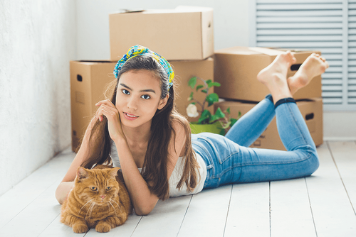 Moving Cross Country with Cats post