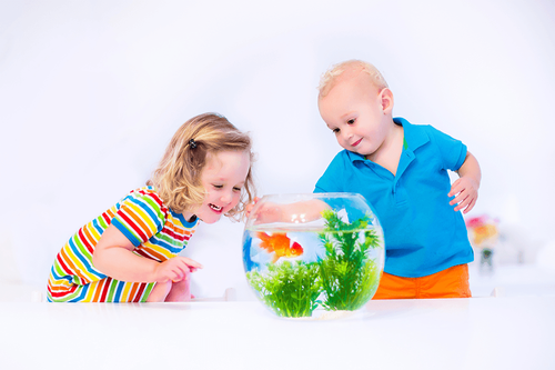 How to Prepare a Fish Tank for Long Term Storage post
