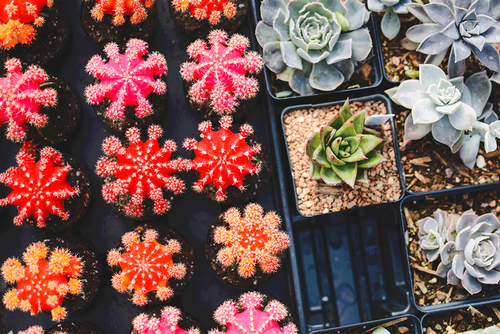 9 Items You Can't Put in a Storage Unit post