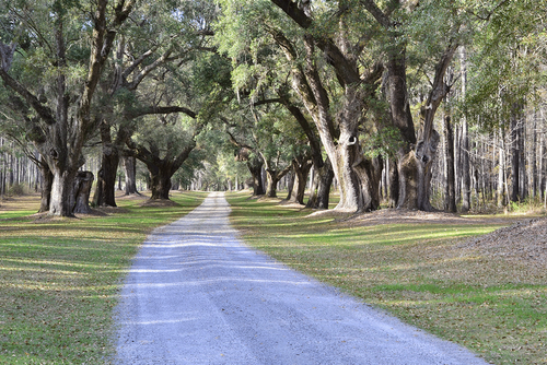 What You Should Know Before Moving to Irmo, SC. post