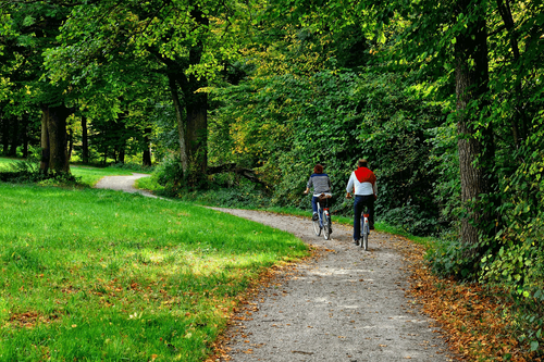 Fun Family Activities Around Portage, Michigan post